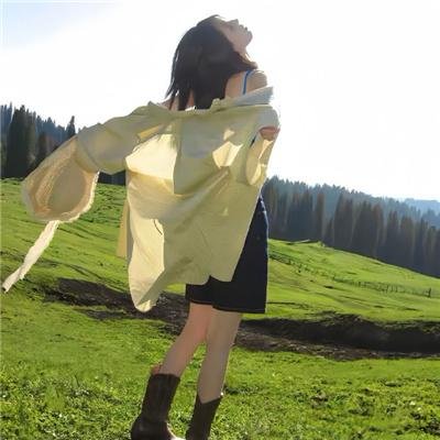 战地情莺